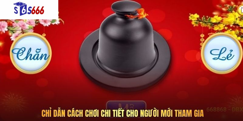 Chỉ dẫn cách chơi chi tiết cho người mới tham gia
