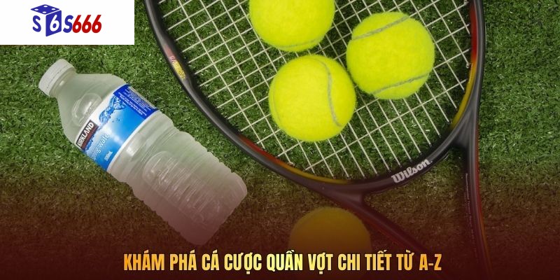 Khám phá cá cược Quần Vợt chi tiết từ A–Z